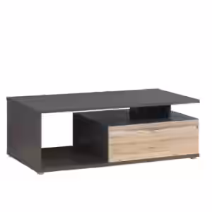 Couchtisch COMO 120 x 59 cm Optik Grau / Planked Eiche von Forte EAN:5904767173494
