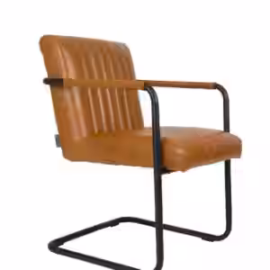 Freischwinger Armlehnstuhl STITCHED Cognac von DutchBone EAN:8718548023222