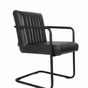 Freischwinger Armlehnstuhl STITCHED Dunkelgrau von DutchBone EAN:8718548023239