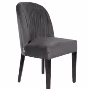 Esszimmerstuhl CASSIDY Samt grau von DutchBone EAN:8718548037021