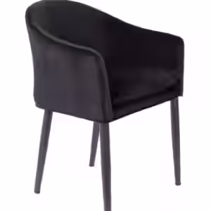Esszimmerstuhl CATELYN Samtlook Schwarz EAN:8718548038615