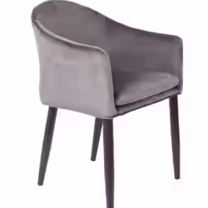 Esszimmerstuhl CATELYN Samtlook Grau EAN:8718548038622